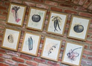 Pasta di Piazza, Newcastle-under-Lyme
